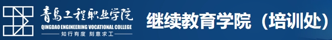 2025年社会培训与评价项目清单